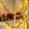 Ollny 1000 LED 49ft Warm White Christmas Cluster Lights (Green Cable, Plug in, 8 Modes, IP44 Waterproof)